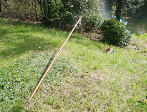 Bear Evidence from Crocker’s Yard – April 2012