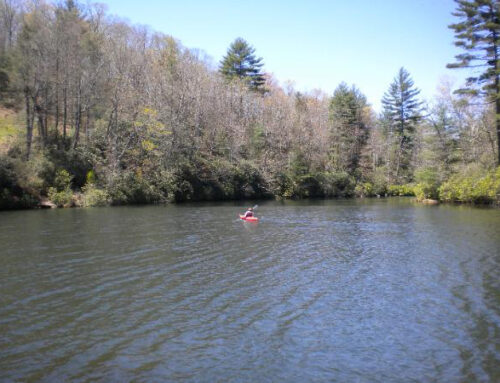 Enjoying the Lake!